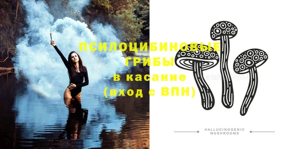 ECSTASY Кодинск
