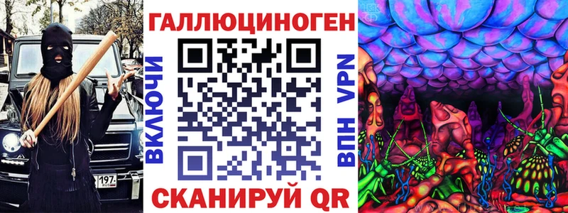 Галлюциногенные грибы Psilocybine cubensis  Балтийск 